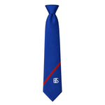 Brine Leas School Tie - Y11