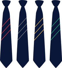 Hartford Church of England High School Tie - Year 8 2024-25