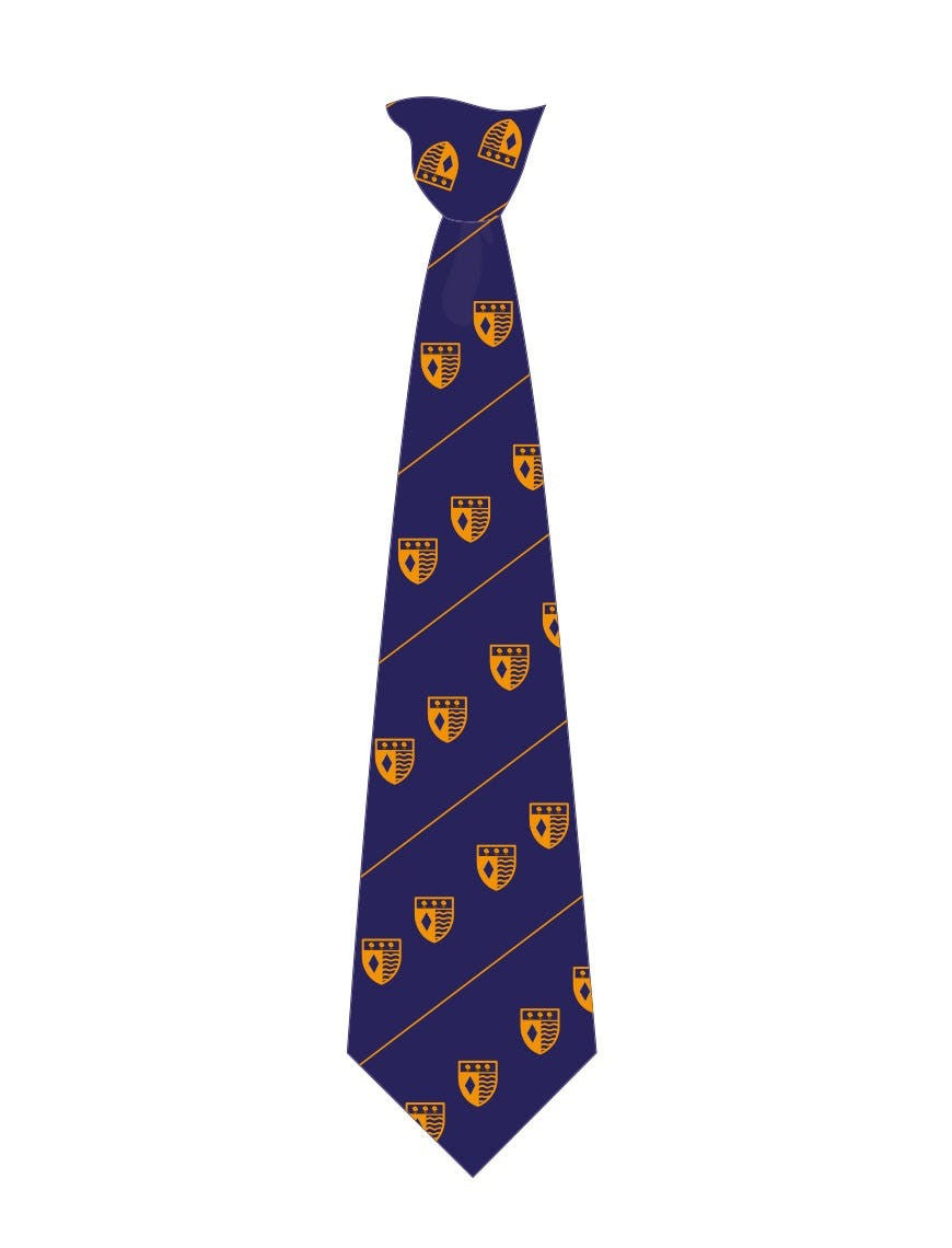Weaverham High School Tie